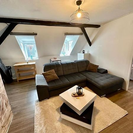Logement Entier Au Coeur De Straßburg Exterior foto