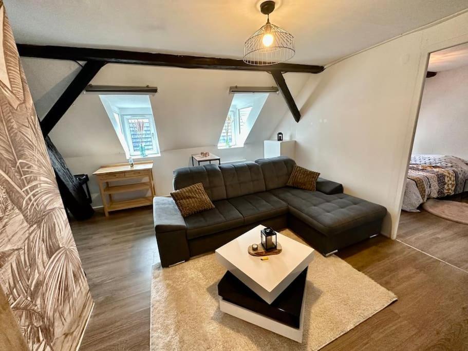 Logement Entier Au Coeur De Straßburg Exterior foto